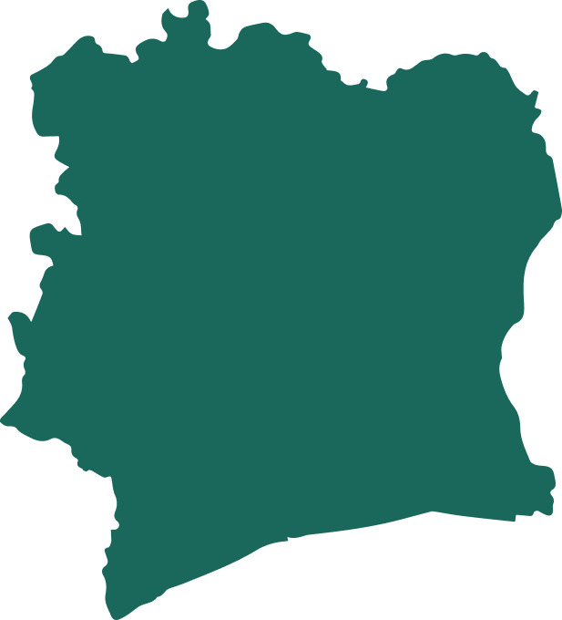 hero thumb shape2 1 2